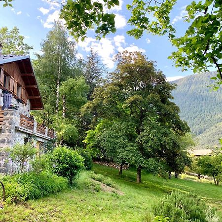 Chalet Le Tilleul Valdeblore Luaran gambar