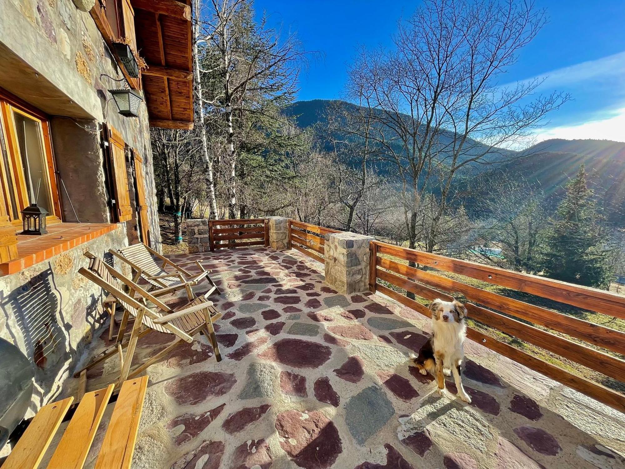 Chalet Le Tilleul Valdeblore Luaran gambar